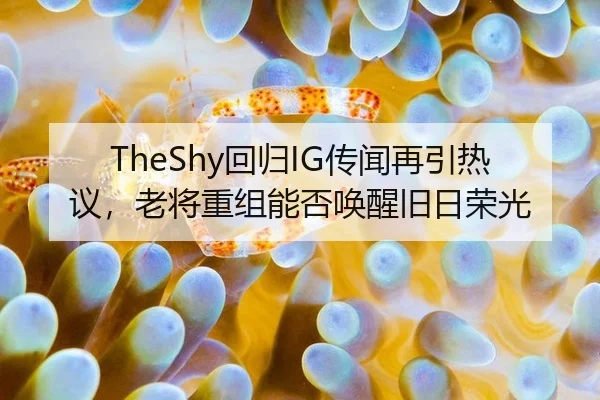 TheShy回归IG传闻再引热议，老将重组能否唤醒旧日荣光